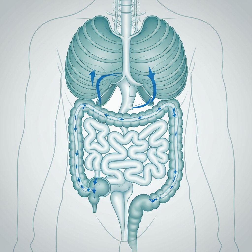 proljev ilustracija probavnog sistema